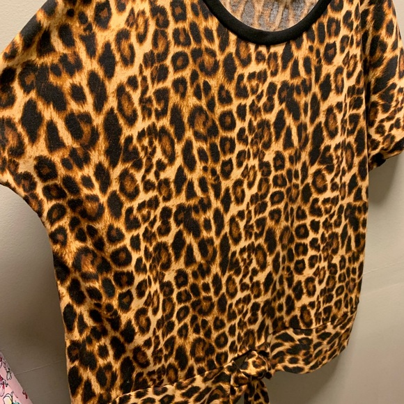 Top Pleione - Picture 3 of 3